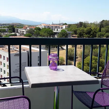 Purple Lovt * Perpignano