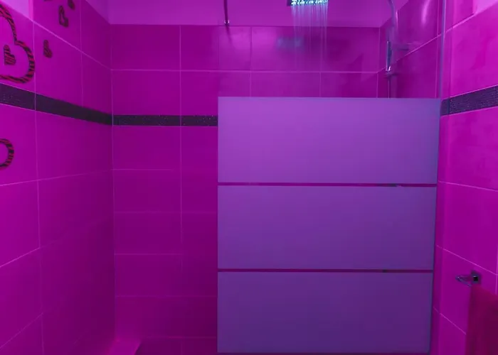 Daire Purple Lovt Perpignan