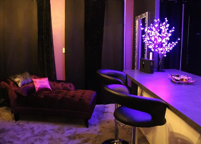 Daire Purple Lovt Perpignan